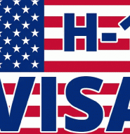 H-1B Non-Immigrant Labor Visa Power BI Dashboard.